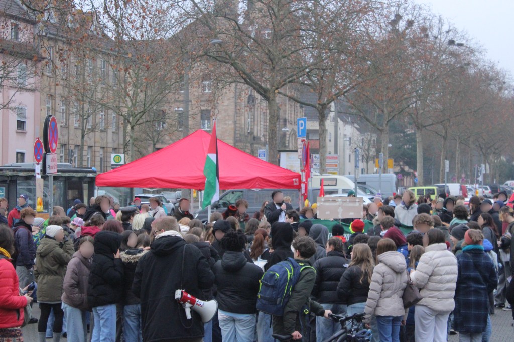 300 Personen beim Schulstreik gegen Wehrpflicht in&nbsp;Landau
